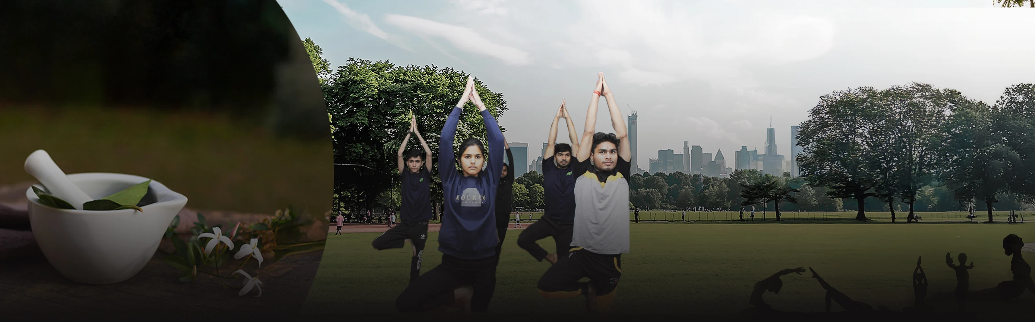 IIMT college and hospital of naturopathy and yogic sciences