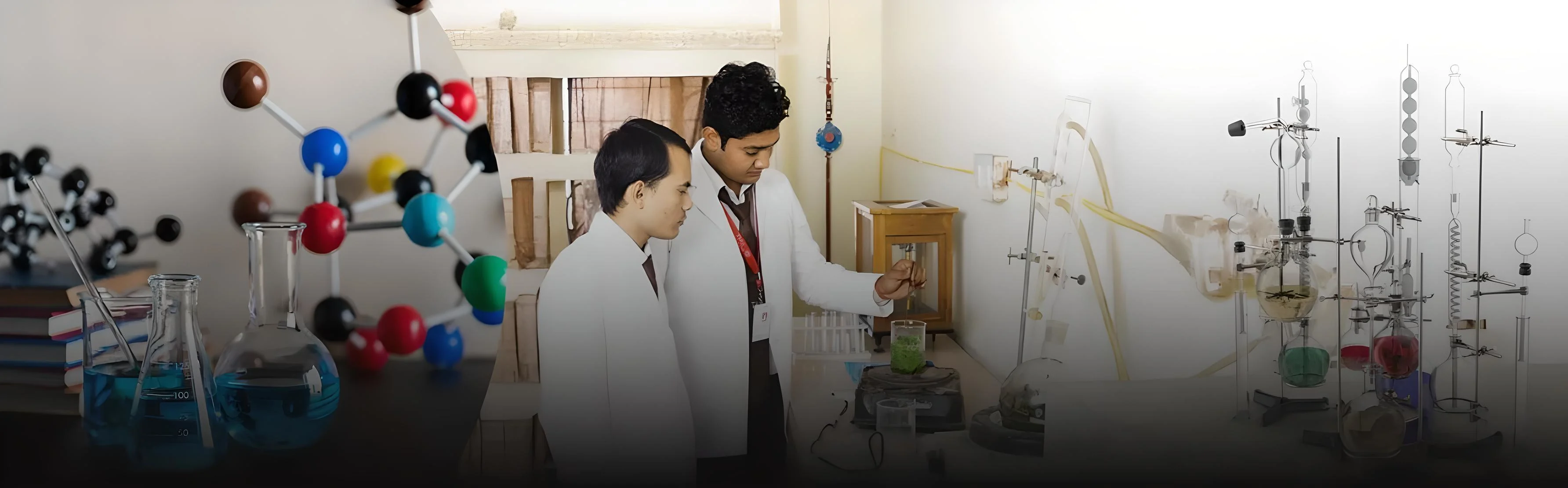 School of basic sciences and technology