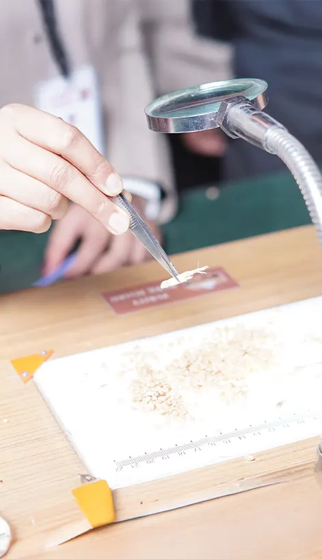 Image of M.Sc. (Biotechnology)