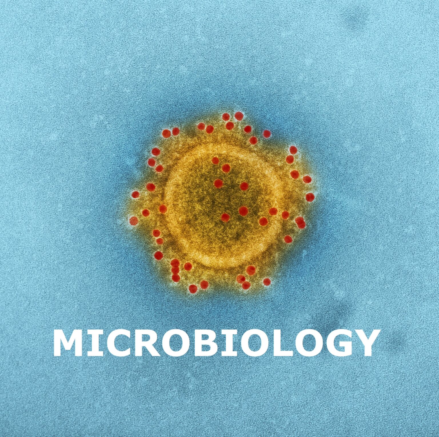 The Invisible Workforce The Role Of Microbiology In Industry Iimt University Official Blog