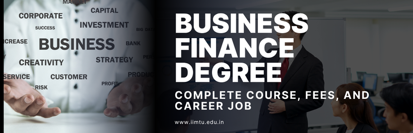 Business Finance Degree: Complete Course, Fees, and Career job