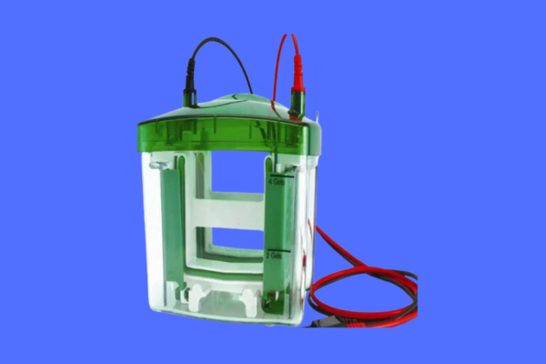 Image of Gel Electrophoresis (Vertical & Horizontal)